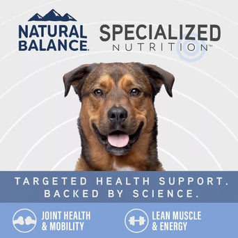 Natural Balance Natural Balance Specialized Nutrition Joint & Muscle Health Adult Dry Dog Food