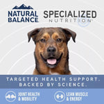 Natural Balance Natural Balance Specialized Nutrition Joint & Muscle Health Stew Canned Dog Food