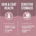 Natural Balance Natural Balance Specialized Nutrition Sensitive Skin & Stomach Adult Dry Dog Food