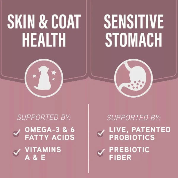 Natural Balance Natural Balance Specialized Nutrition Sensitive Skin & Stomach Adult Dry Dog Food