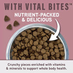 Natural Balance Natural Balance Specialized Nutrition Sensitive Skin & Stomach Adult Dry Dog Food