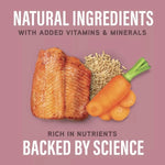 Natural Balance Natural Balance Specialized Nutrition Sensitive Skin & Stomach Pate Canned Dog Food