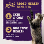 Natural Balance Natural Balance Ultra Protein+ Skin & Coat and Digestive Health Real Salmon with Pumpkin Puree Topper Recipe
