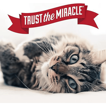 Nature's Miracle Nature's Miracle Advanced Platinum Cat Pet Block Repellent Spray