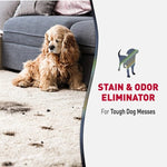 Nature's Miracle Nature's Miracle Advanced Stain & Odor Eliminator for Dogs