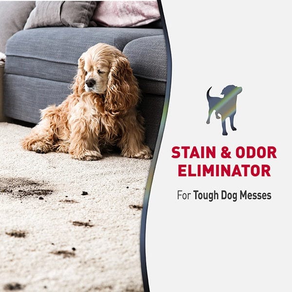Nature's Miracle Nature's Miracle Advanced Stain & Odor Eliminator for Dogs