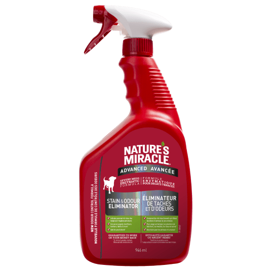 Nature's miracle stain hot sale and odor remover