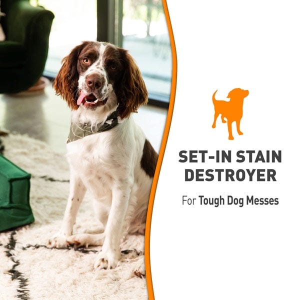 Nature's Miracle Nature's Miracle Oxy Formula Set-in Stain Destroyer for Dogs