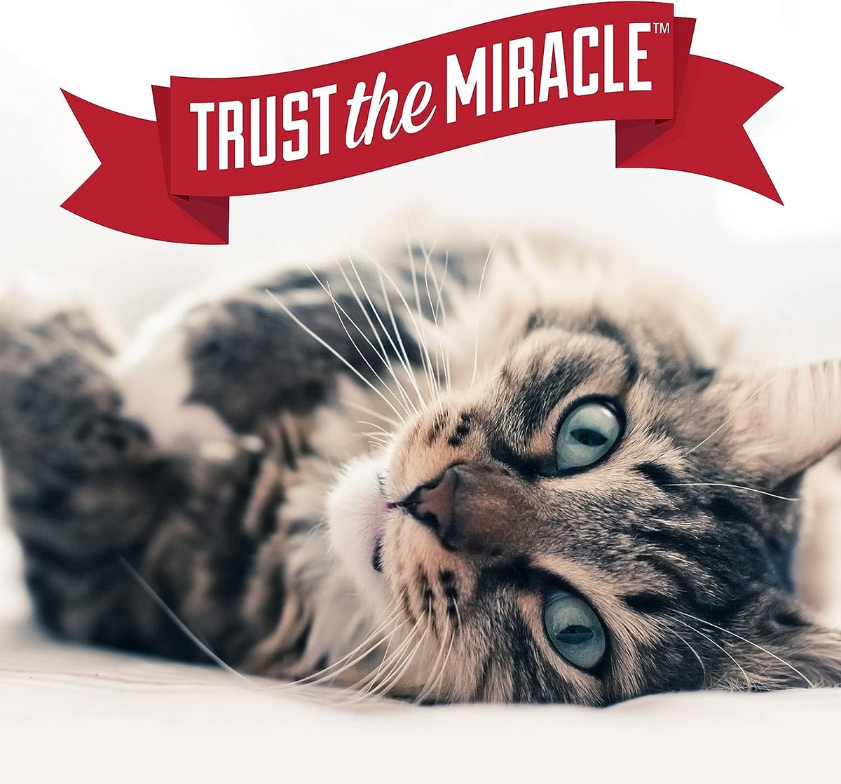 Nature's Miracle Nature's Miracle Urine Destroyer Plus for Cats