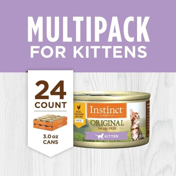 Kozy kitten cat sales food