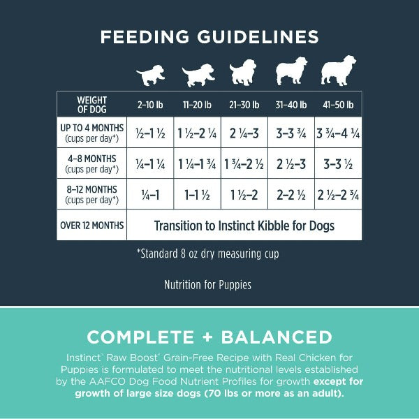 Feeding Guide Raw Food Diet For Puppies Pet Foods Puppy Raw