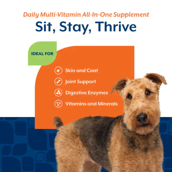 NaturVet NaturVet Daily Multi-Vitamin Soft Chews For Dogs