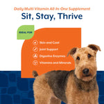 NaturVet NaturVet Daily Multi-Vitamin Soft Chews For Dogs