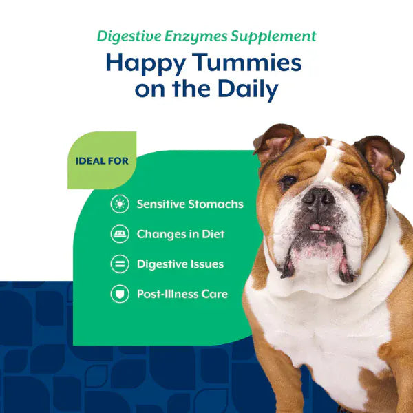 NaturVet NaturVet Digestive Enzymes Plus Prebiotics & Probiotics Soft Chews for Dogs