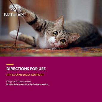 NaturVet NaturVet Hip & Joint with Omegas Soft Chews For Cats