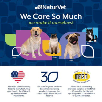 NaturVet NaturVet No Scoot Plus Pumpkin Soft Chews For Dogs