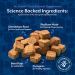 NaturVet NaturVet No Scoot Plus Pumpkin Soft Chews For Dogs
