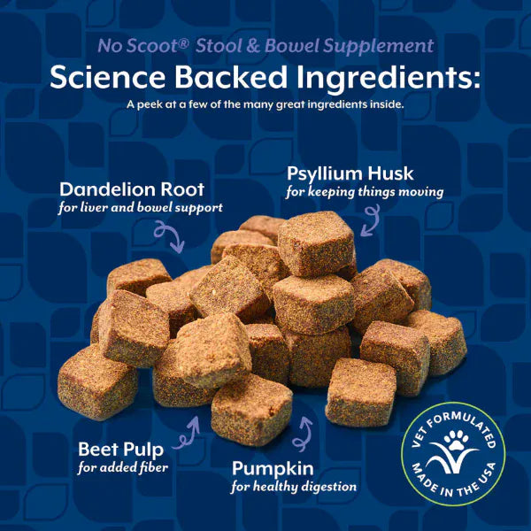 NaturVet NaturVet No Scoot Plus Pumpkin Soft Chews For Dogs