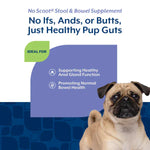 NaturVet NaturVet No Scoot Plus Pumpkin Soft Chews For Dogs