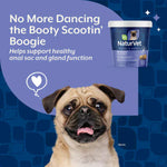 NaturVet NaturVet No Scoot Plus Pumpkin Soft Chews For Dogs