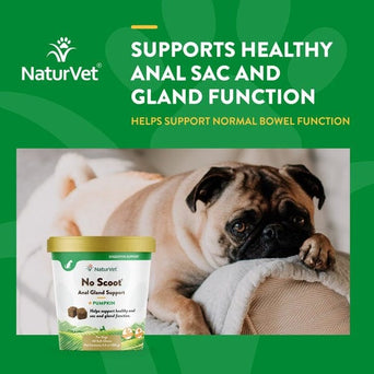 NaturVet NaturVet No Scoot Plus Pumpkin Soft Chews For Dogs