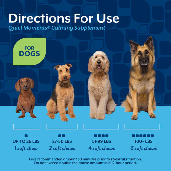 NaturVet NaturVet Quiet Moments Calming Aid Plus Melatonin Soft Chews For Dogs