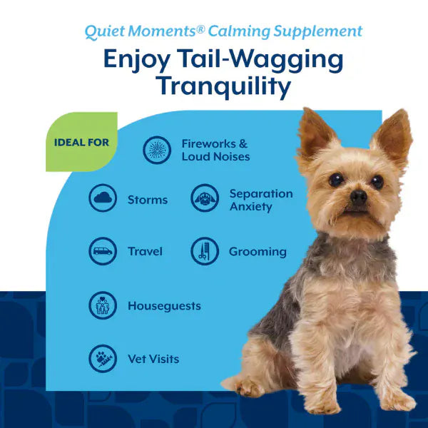 NaturVet NaturVet Quiet Moments Calming Aid Plus Melatonin Soft Chews For Dogs