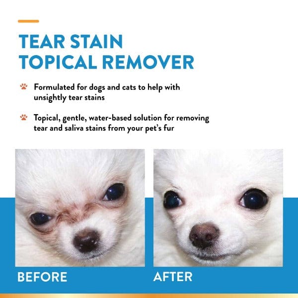 Stain Remover My Puppy Has Tear Stains Bugalugs Tear Stain Remover