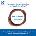 NPIC N-Bone Grain Free Puppy Teething Rings Blueberry & BBQ Flavour