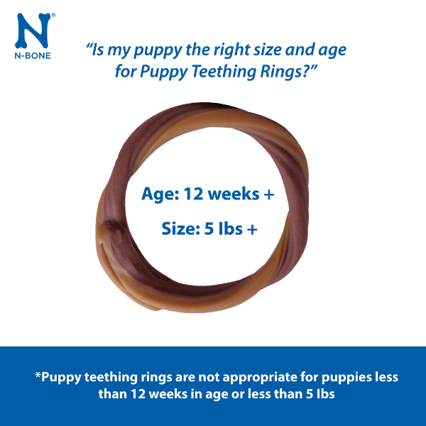 NPIC N-Bone Grain Free Puppy Teething Rings Blueberry & BBQ Flavour