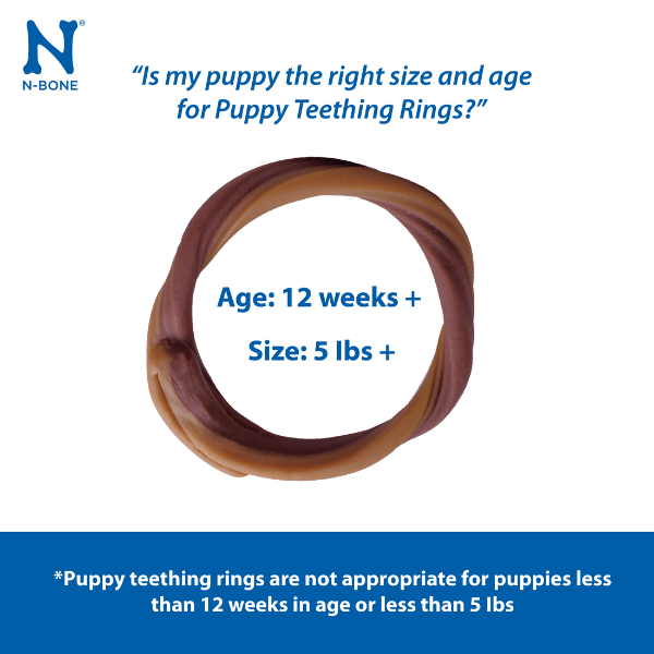 NPIC N-Bone Puppy Teething Rings; Pumpkin Flavour