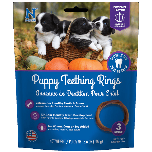 N Bone Puppy Teething Ring Pumpkin Flavor