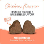 Nutrience Nutrience Care+ Probiotic Cat Supplement