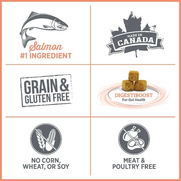 Nutrience Nutrience Care+ Sensitive Skin & Stomach Hypoallergenic Dry Dog Food