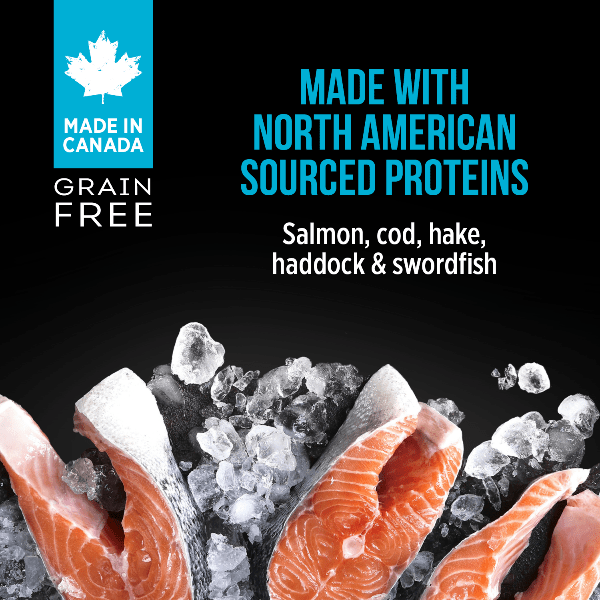 Nutrience Nutrience SubZero Canadian Pacific Pate Canned Cat Food