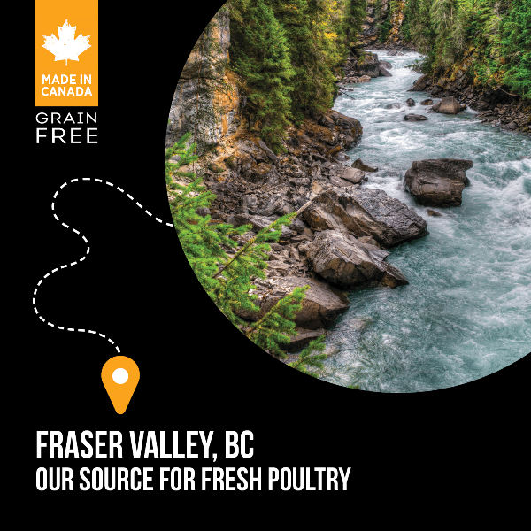 Nutrience Nutrience SubZero Fraser Valley High Protein Dry Cat Food