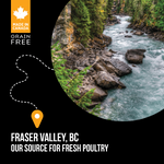 Nutrience Nutrience SubZero Fraser Valley High Protein Dry Cat Food