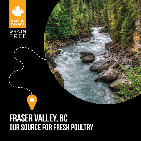 Nutrience Nutrience SubZero Fraser Valley Small Breed Dry Dog Food