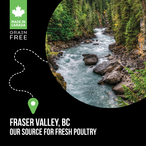 Nutrience Nutrience SubZero Healthy Puppy Fraser Valley Recipe Dry Dog Food
