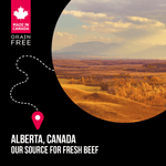 Nutrience Nutrience SubZero Prairie Red High Protein Dry Cat Food