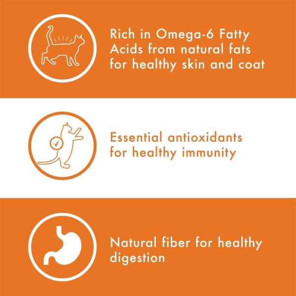 Nutro Nutro Wholesome Essentials Chicken & Brown Rice Adult Dry Cat Food