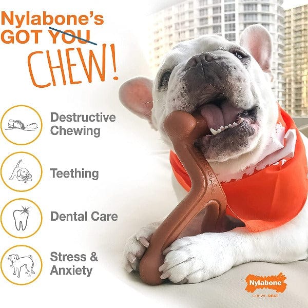 Nylabone Nylabone DuraChew Textured Chicken Bone