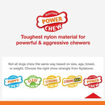 Nylabone Nylabone DuraChew Textured Chicken Bone