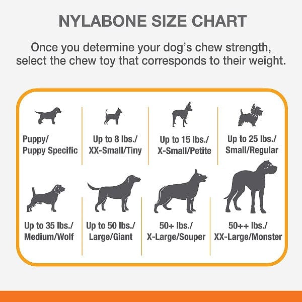 Nylabone Nylabone DuraChew Textured Chicken Bone