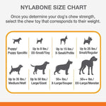 Nylabone Nylabone DuraChew Textured Chicken Bone