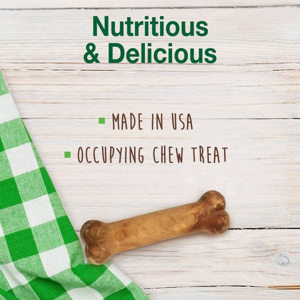 Nylabone Nylabone Healthy Edibles Lamb & Apple Flavour Petite Puppy Chews 4 Pack