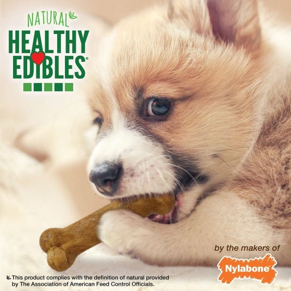 Nylabone Nylabone Healthy Edibles Lamb & Apple Flavour Petite Puppy Chews 4 Pack