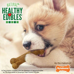 Nylabone Nylabone Healthy Edibles Lamb & Apple Flavour Petite Puppy Chews 4 Pack