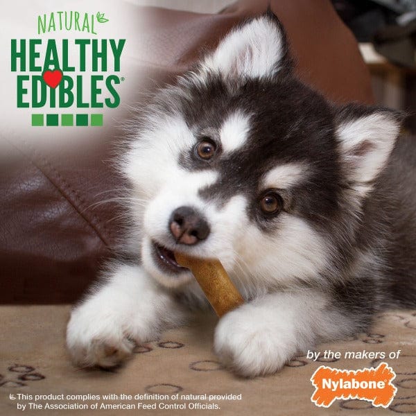 Nylabone Nylabone Healthy Edibles Lamb & Apple Flavour Regular Puppy Chews 3 Pack