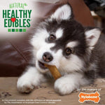 Nylabone Nylabone Healthy Edibles Lamb & Apple Flavour Regular Puppy Chews 3 Pack